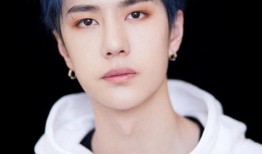 烈焰大王爆料王一博视频,烈焰大王揭秘背后真相