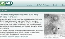 美国病毒最新情况爆料,病毒变异与传播趋势深度解析
